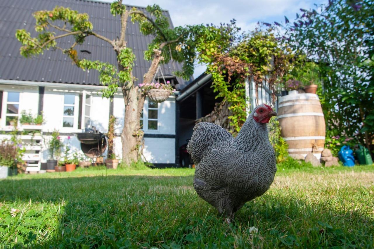 Æblehaven Bed & Breakfast Toftebjerg Eksteriør bilde