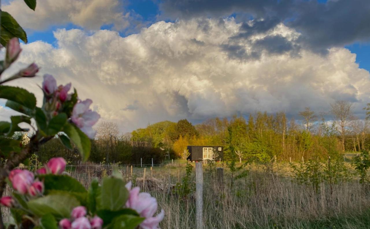 Æblehaven Bed & Breakfast Toftebjerg Eksteriør bilde